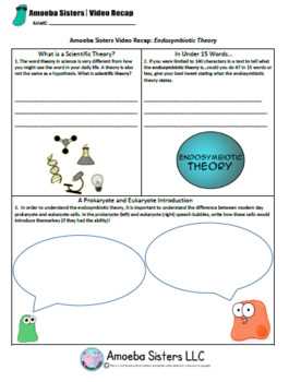 Overview of Amoeba Sisters microscopes answer key