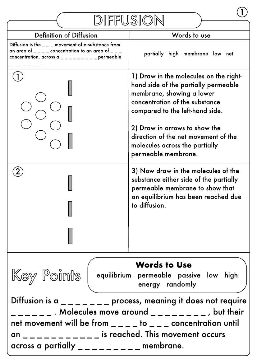 Tips and Tricks for Effective Active Transport Coloring Answer Key