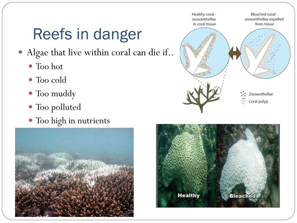 6.3 aquatic ecosystems answer key