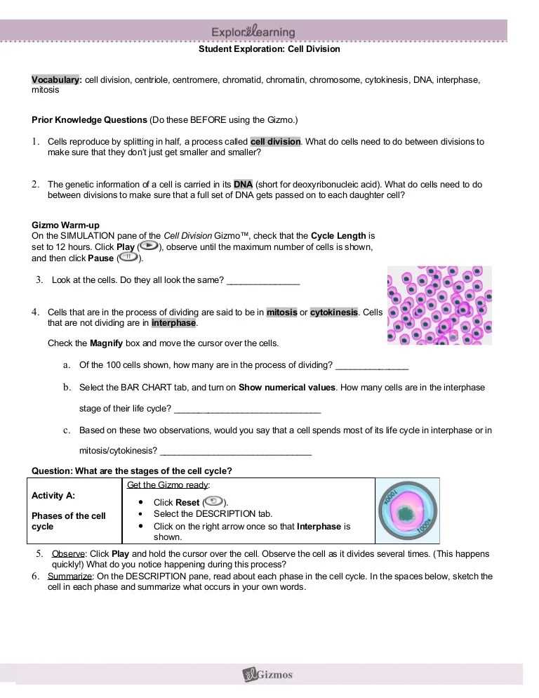 Key Features of the Gizmo Osmosis Answer Key