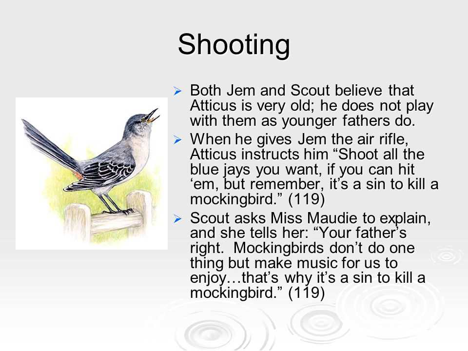 To Kill a Mockingbird Study Guide Answers