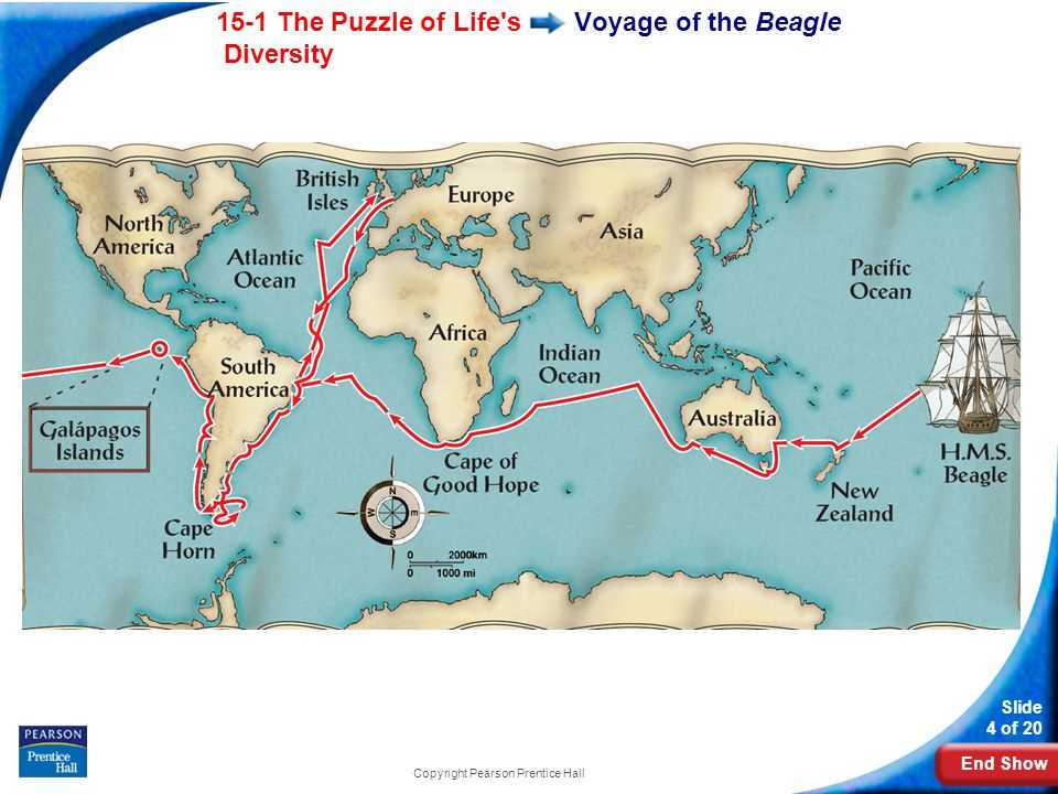Section 15 1 the puzzle of life's diversity answer key