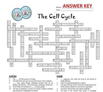 Key Definitions and Concepts