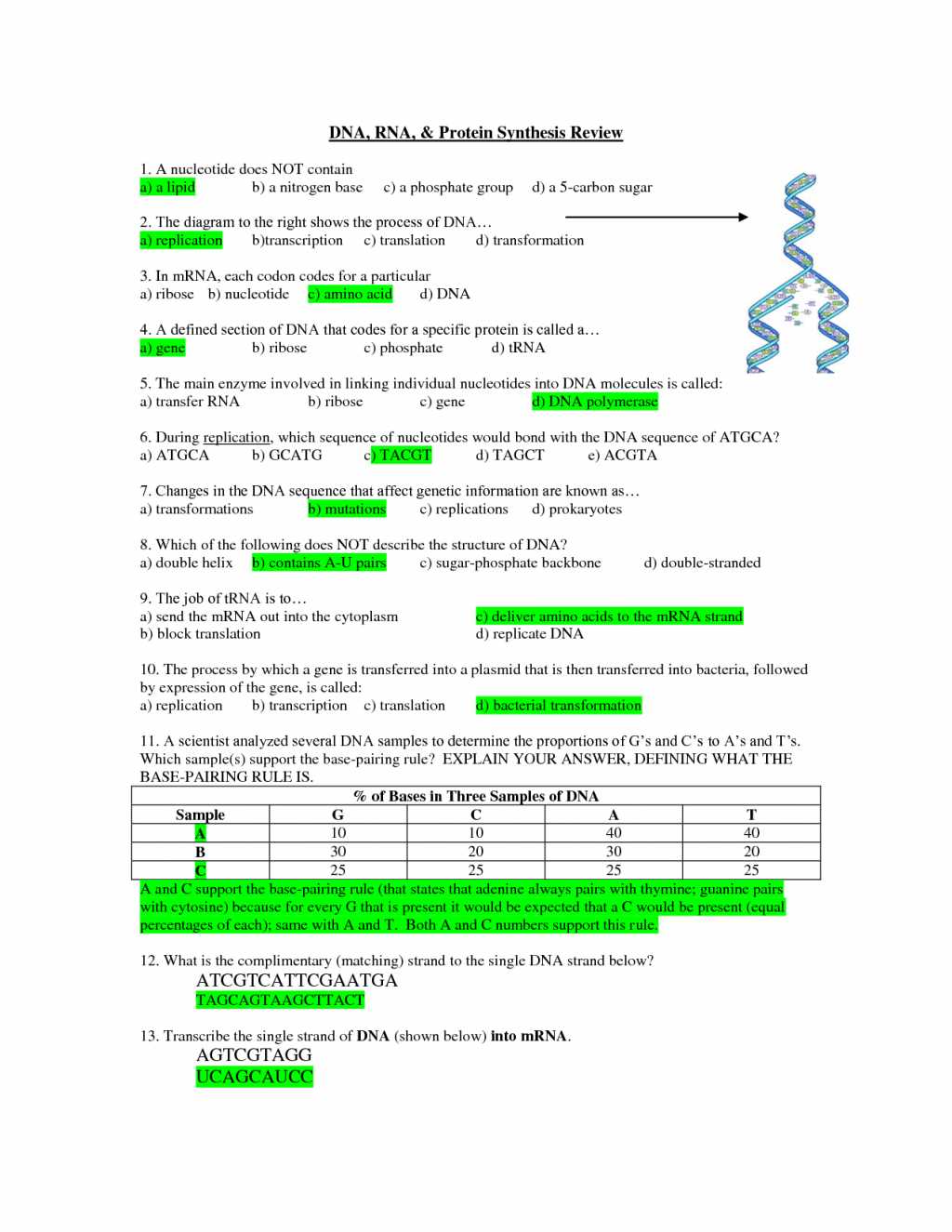 Functions of Transcription: