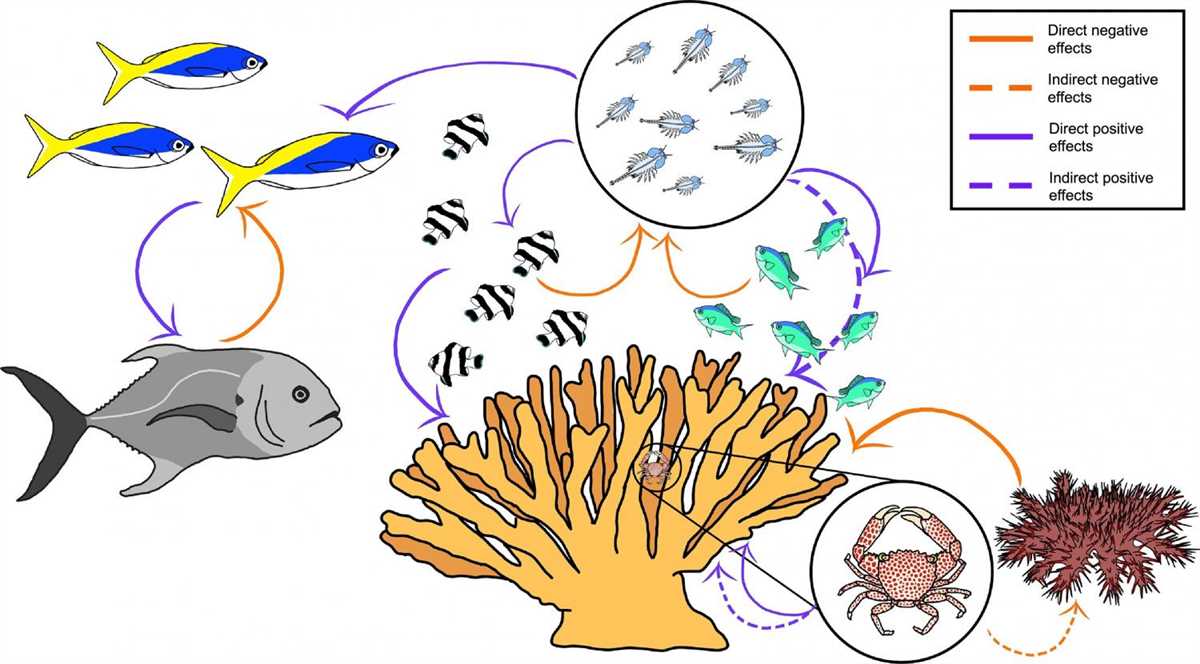 Exploring the Hidden Secrets of Coral Reefs - Unlocking the Coral Reef Answer Key Excerpt from coral reef answer key