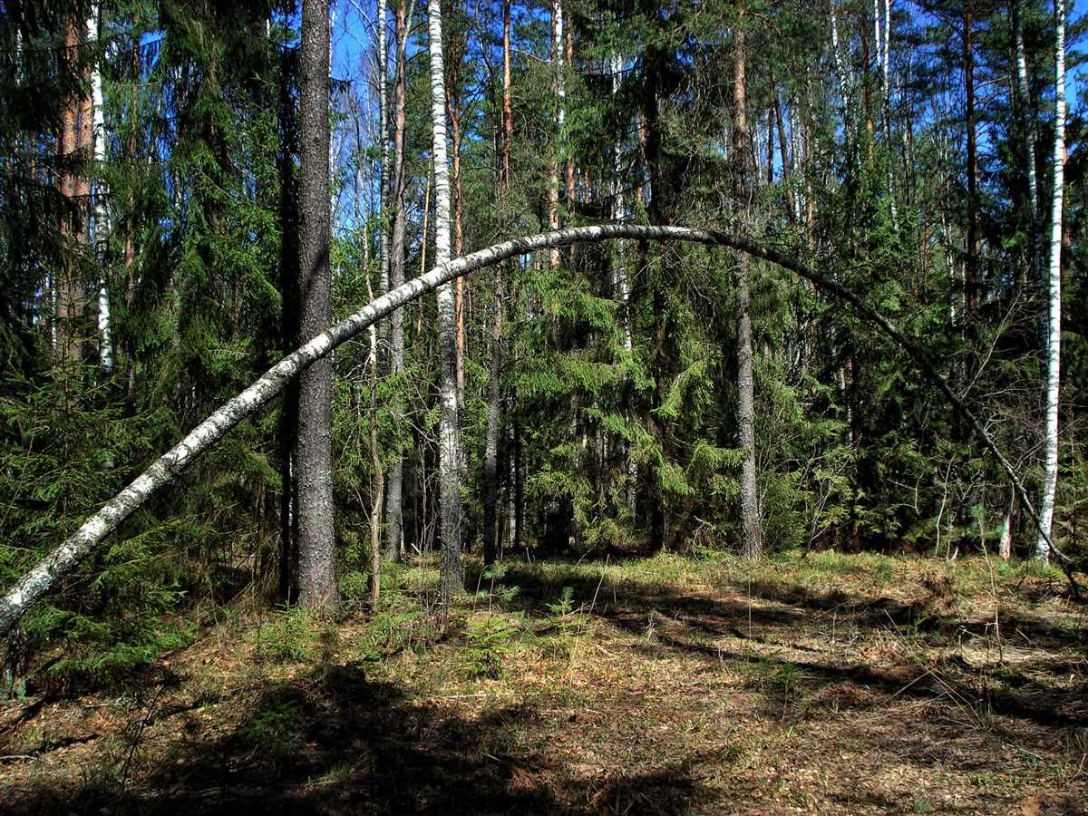 Practice exercises for marbleslides parabolas