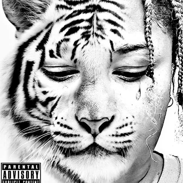 Understanding the complexities of Tears of a tiger questions and answers pdf