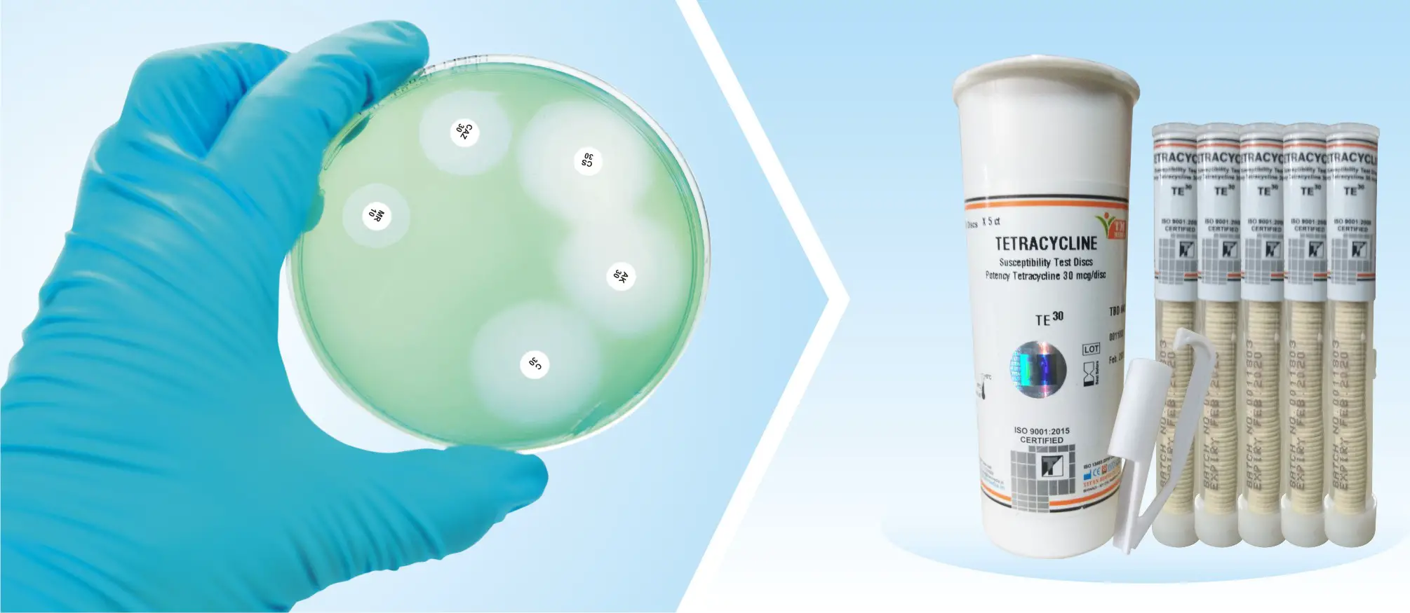 Methodology of Antimicrobial Susceptibility Testing