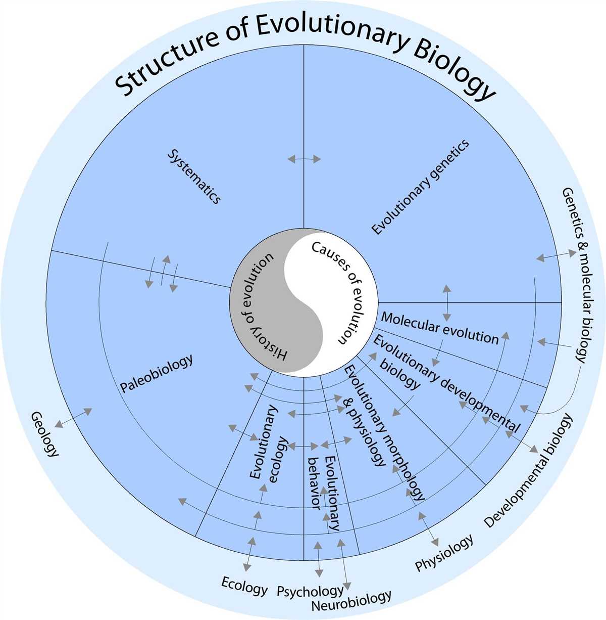 Adaptation and Fitness