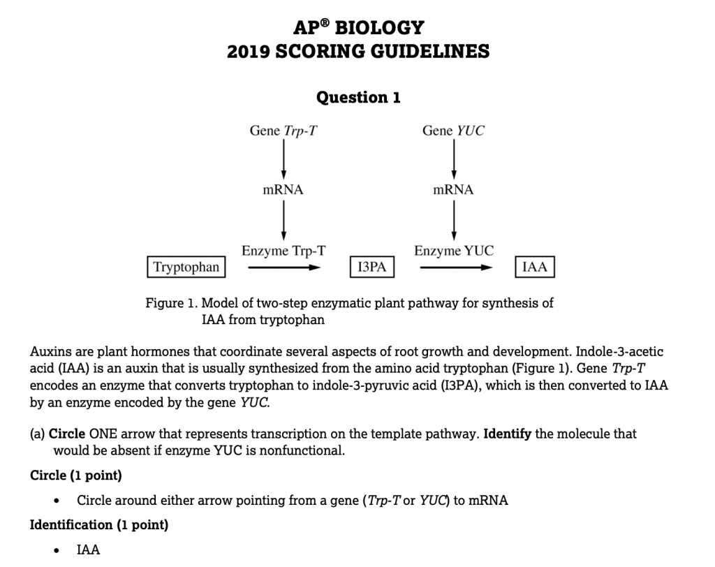 Explanation of Free Response Questions