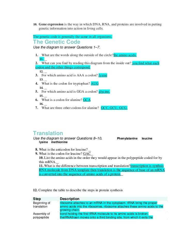 Understanding Ribosomes and Protein Synthesis