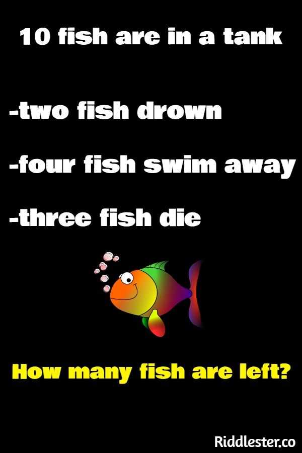 Clues and Hints