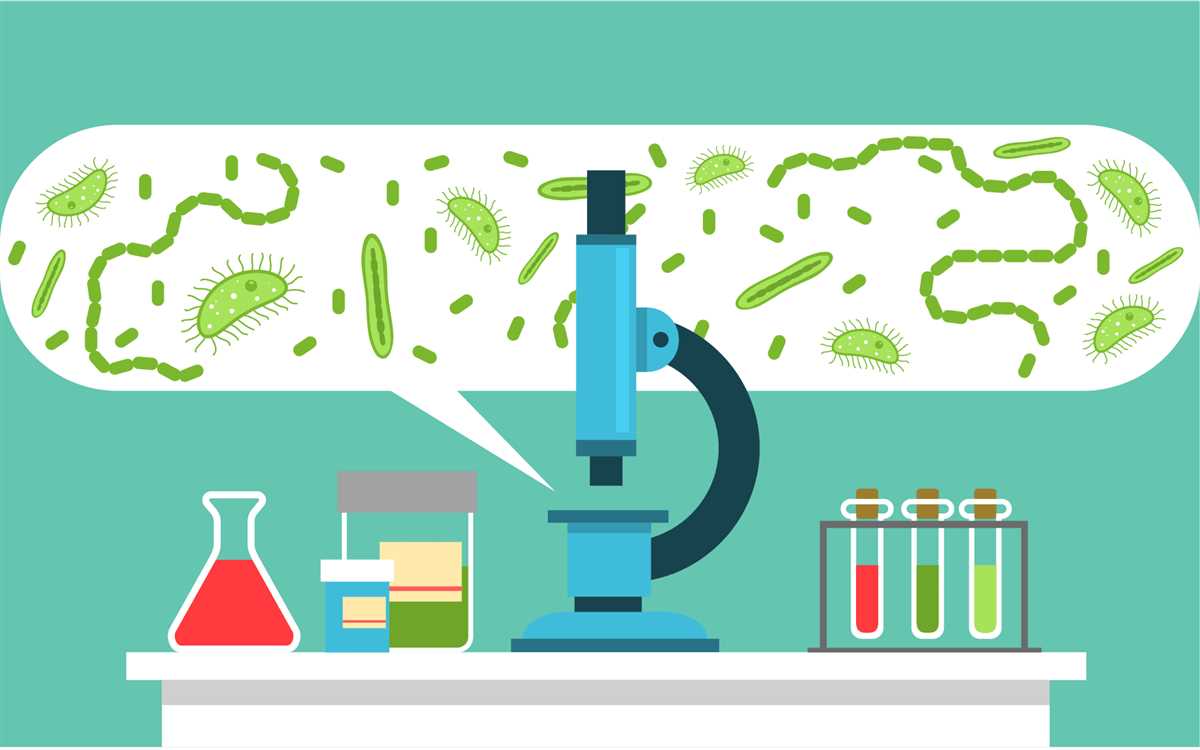 Microbiology Final Exam Study Guide