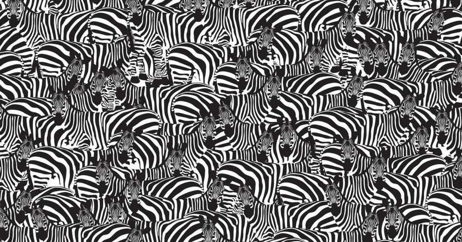 Section 1: Solving the Zebra Puzzle