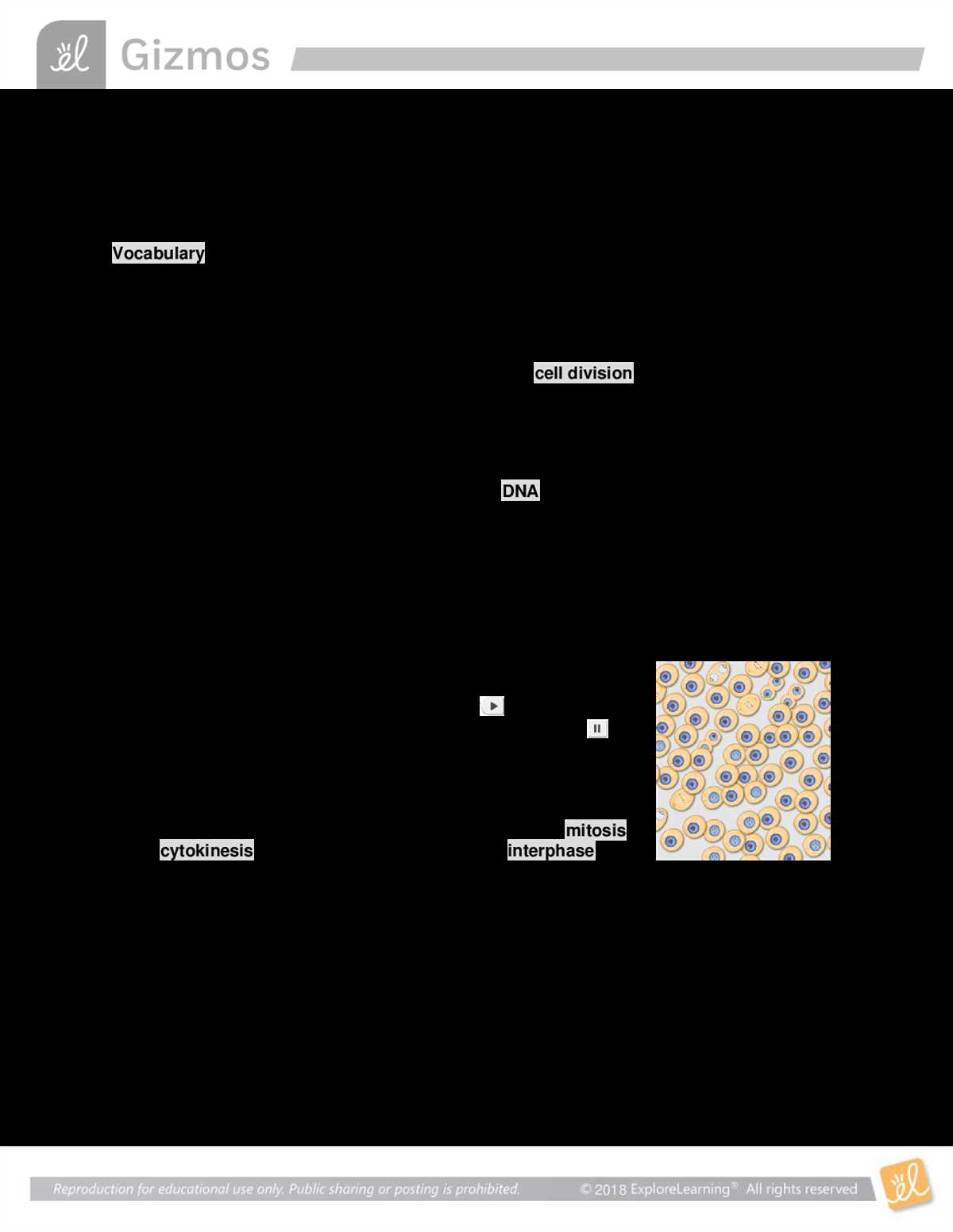 Understanding the Basics of Circuits