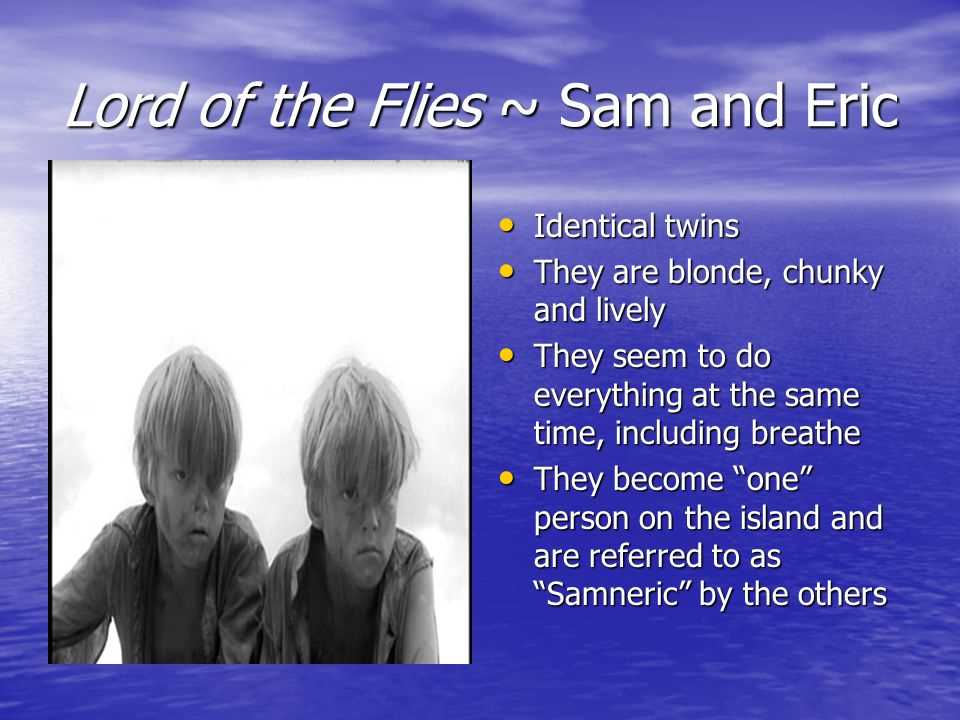 Exploring the Structure of the Lord of the Flies Test