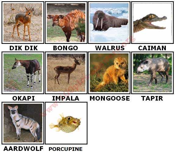 Level 1-20