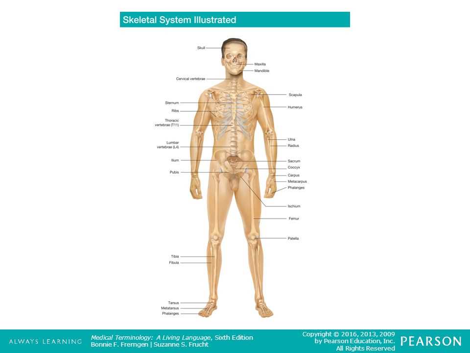 Importance of Medical Terminology