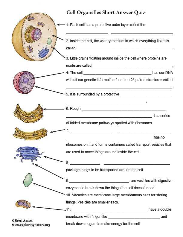 Tips and Strategies for Answering 16.1 Assessment Biology Questions