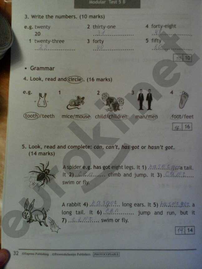 Debunking the misconception surrounding the use of Platoweb English 3 answers