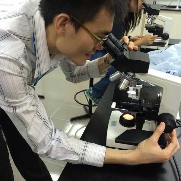 Experiment 1: Cellular Respiration