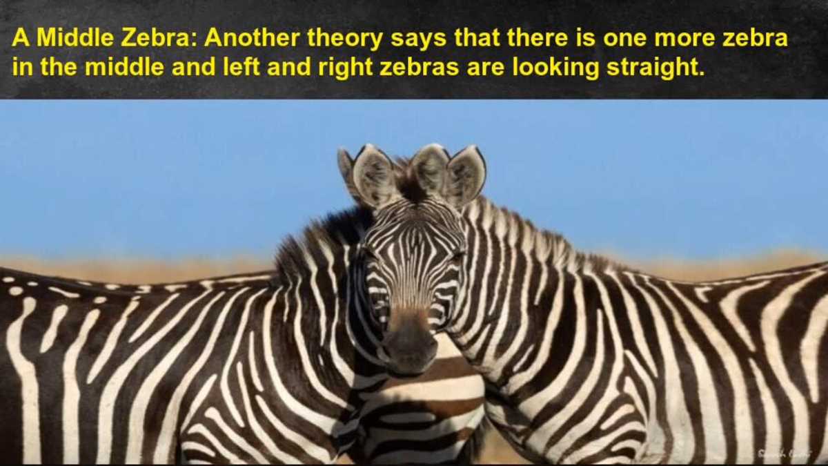 The Solution to the Zebra Puzzle: Revealing the Owner of the Mysterious Zebra Who owns the zebra puzzle answer