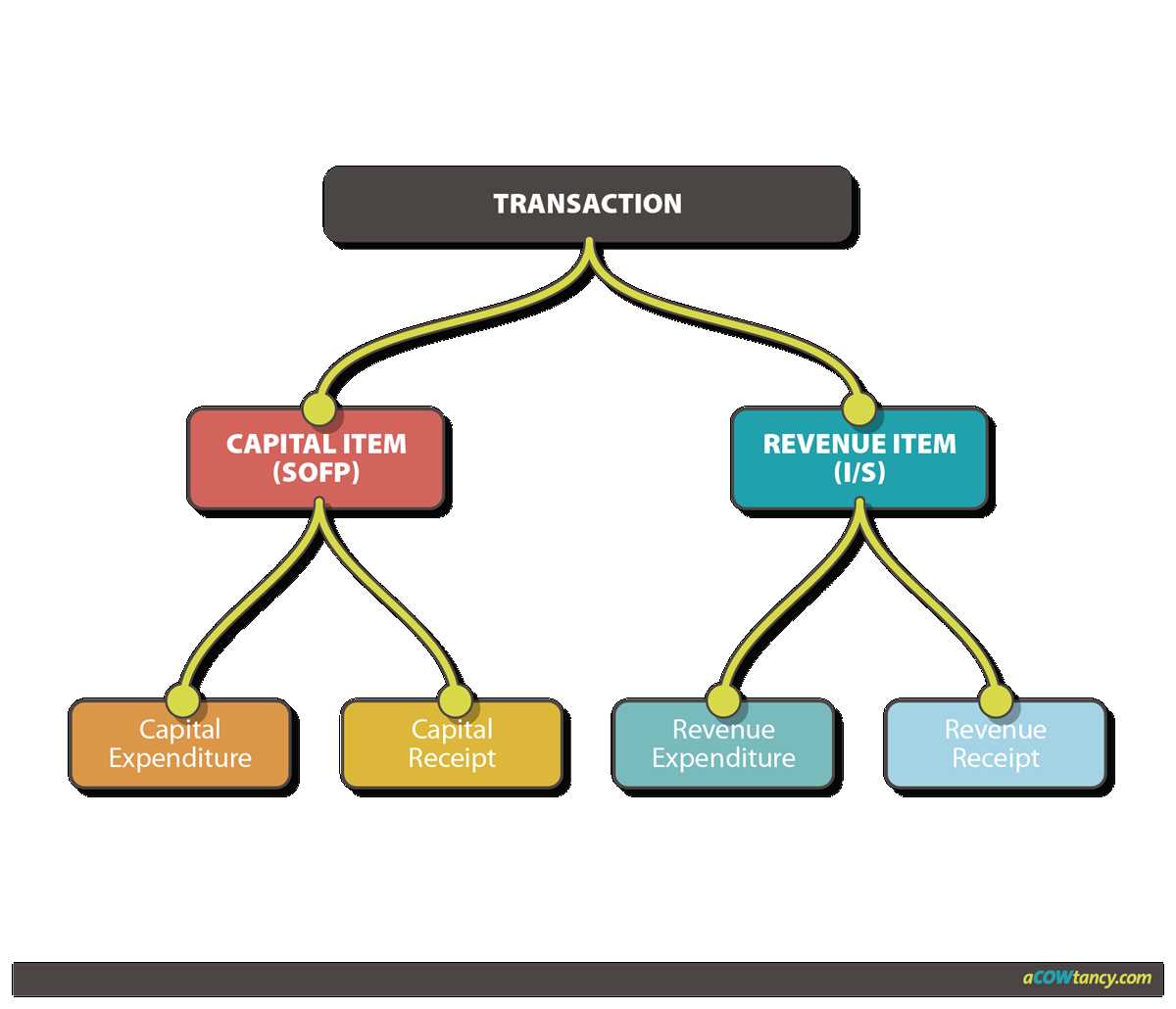 What You Need to Know About SOA Exam FM Registration