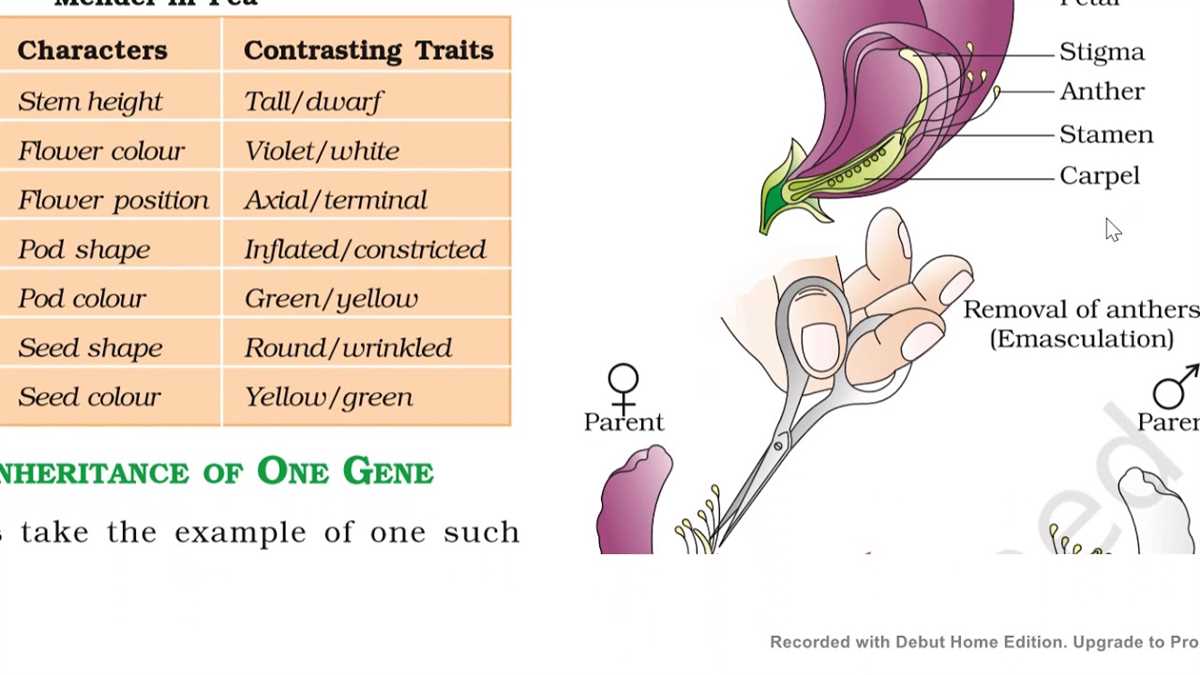 Genetics and Inheritance
