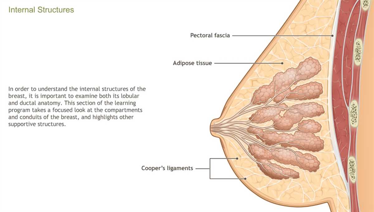3. Use Visual Aids and Diagrams