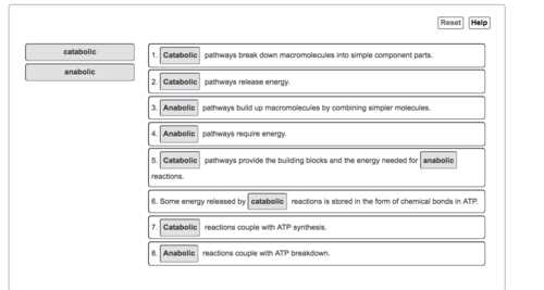 Control of Microbial Growth