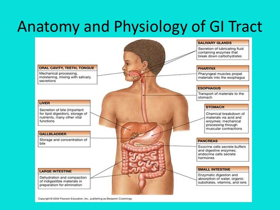 Unlocking the Mysteries of Anatomy and Physiology with Expert Answers Mastering anatomy and physiology answers