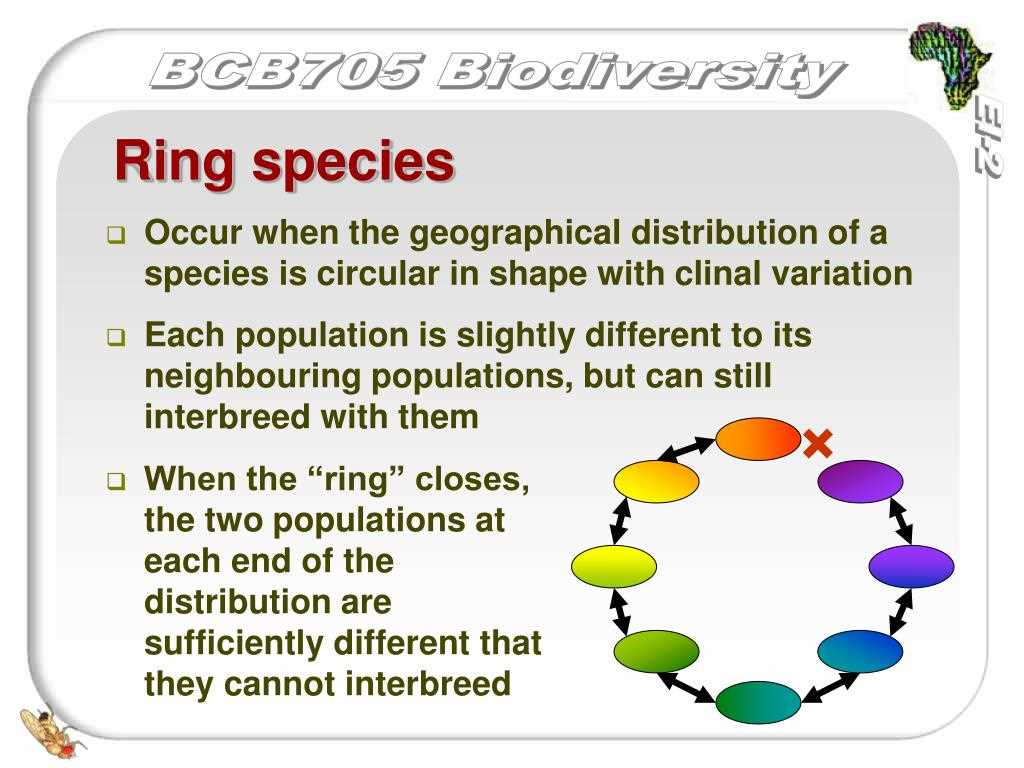 Allopatric Speciation: The Geographic Barrier