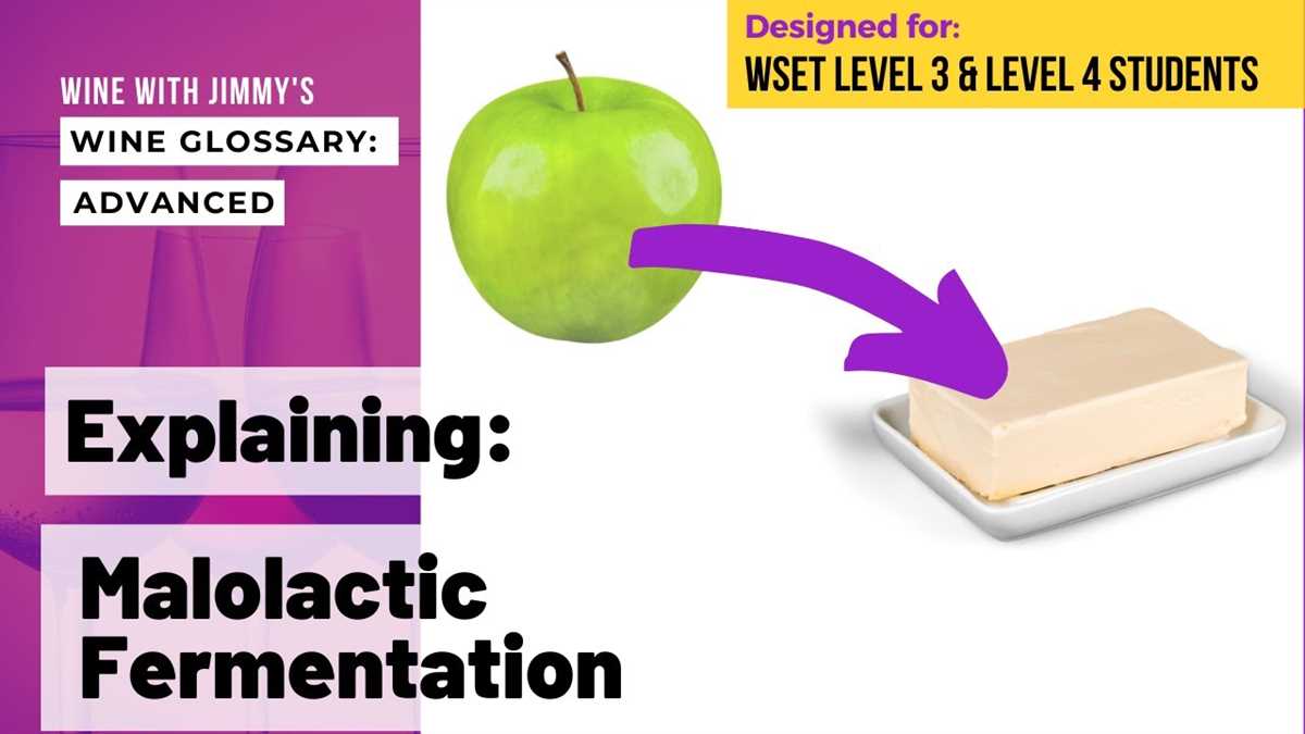 What to Expect in the WSET Level 1 Mock Exam