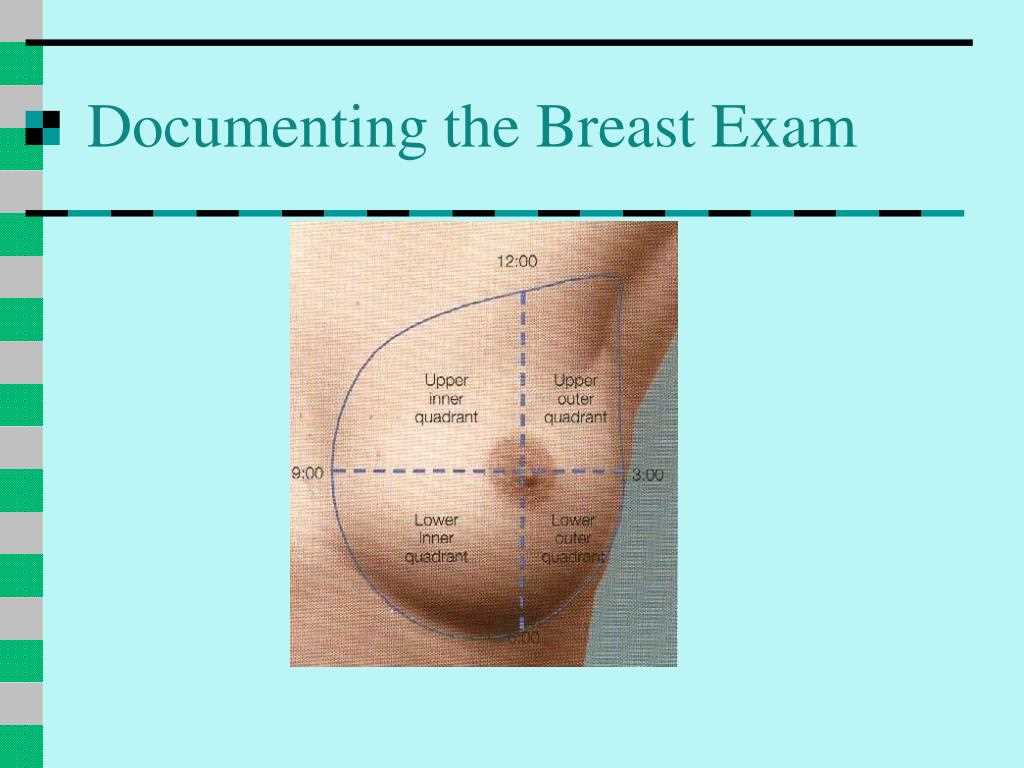Biology 1406 Exam 3