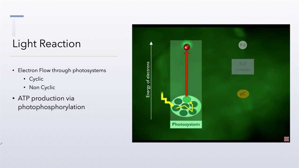 Key Concepts Covered in Chapter 5