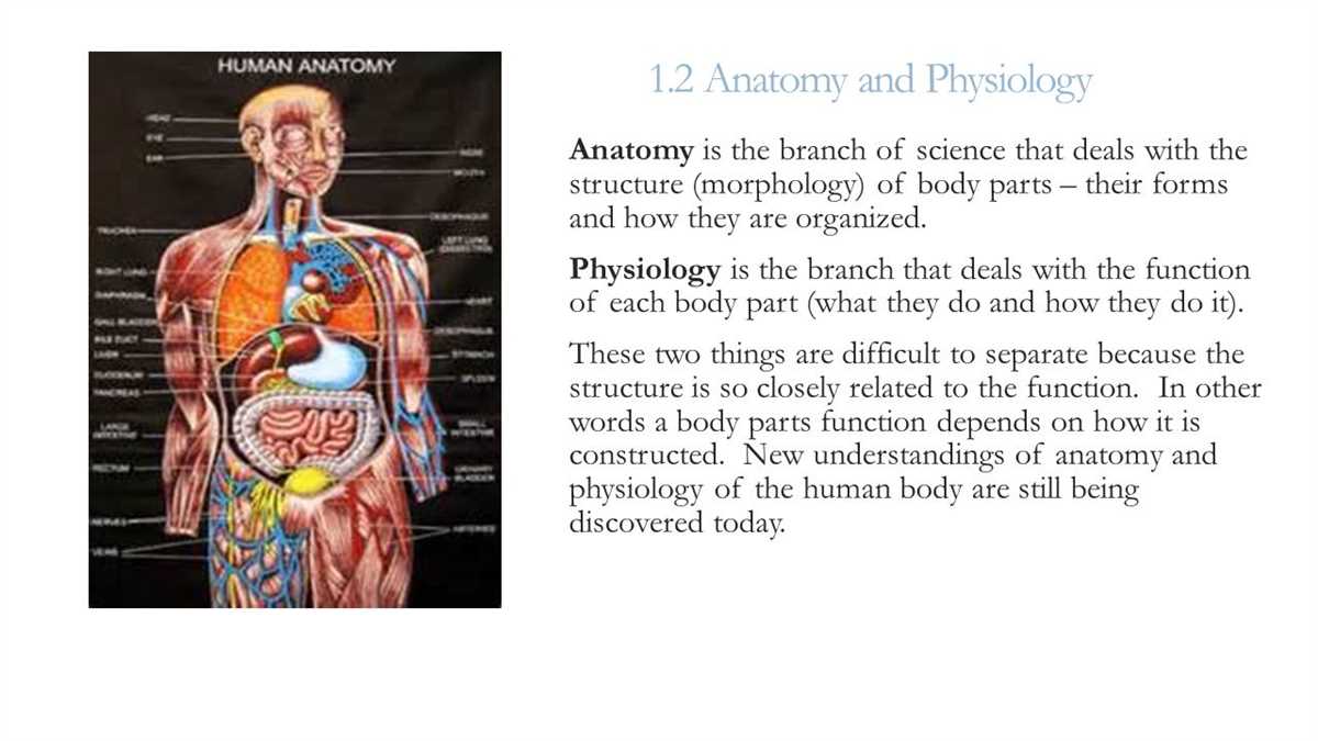 The Integumentary System