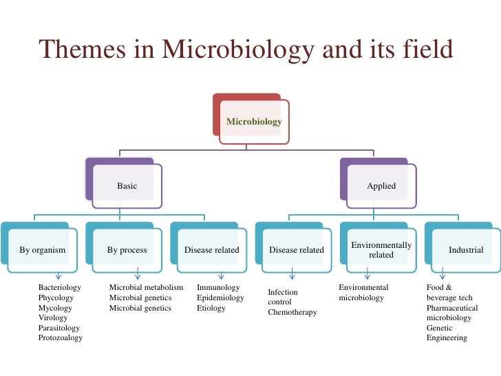 Chemical Methods