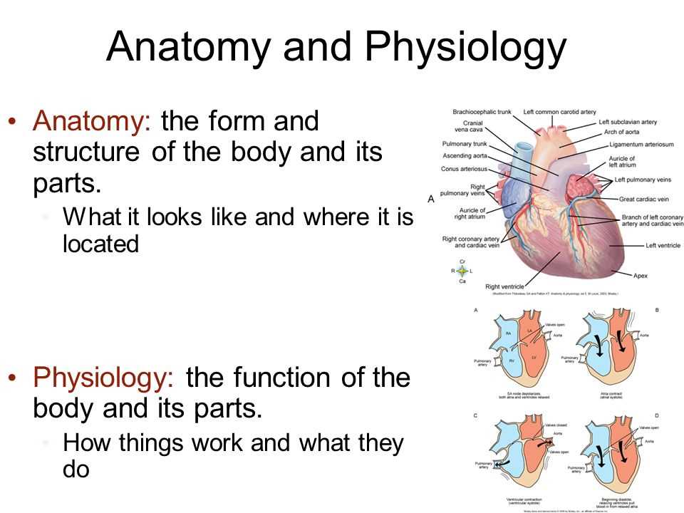 Practice Questions