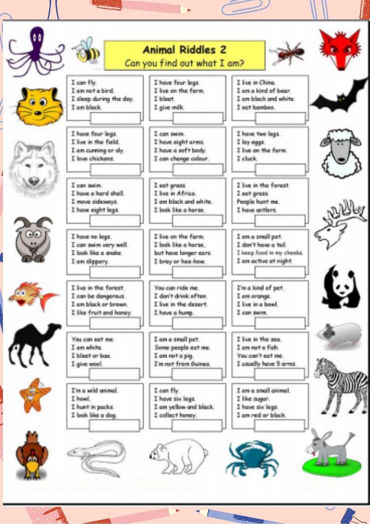 Llama symbolism: Understanding the meaning behind the riddle