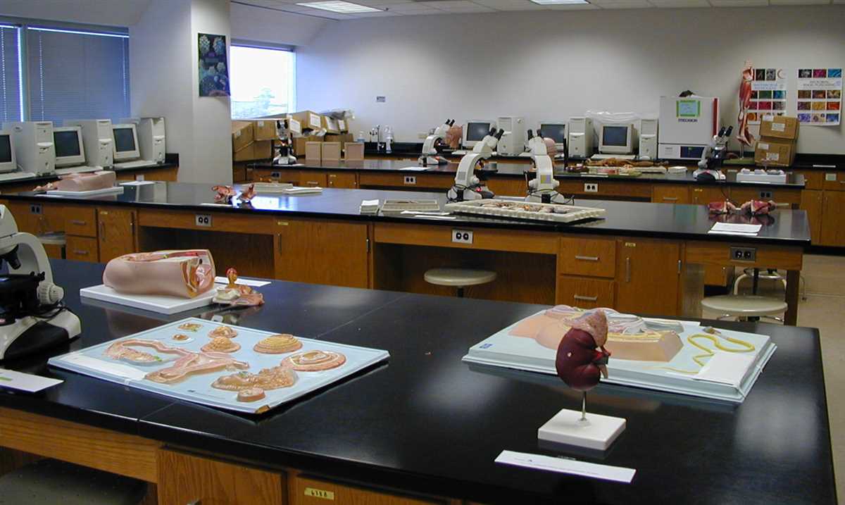 Simulate exam conditions