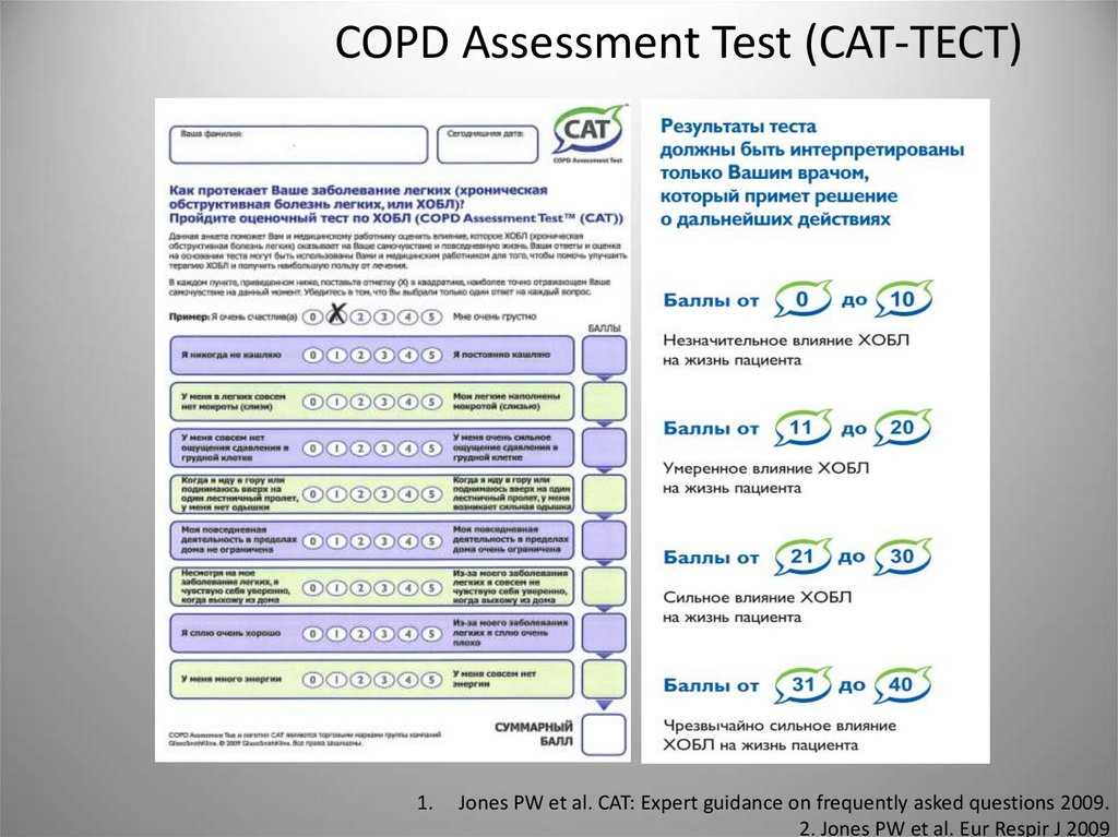 Cracking the Best Buy Assessment Test: Ace it with these 2026 Answers! Best buy assessment test answers 2026