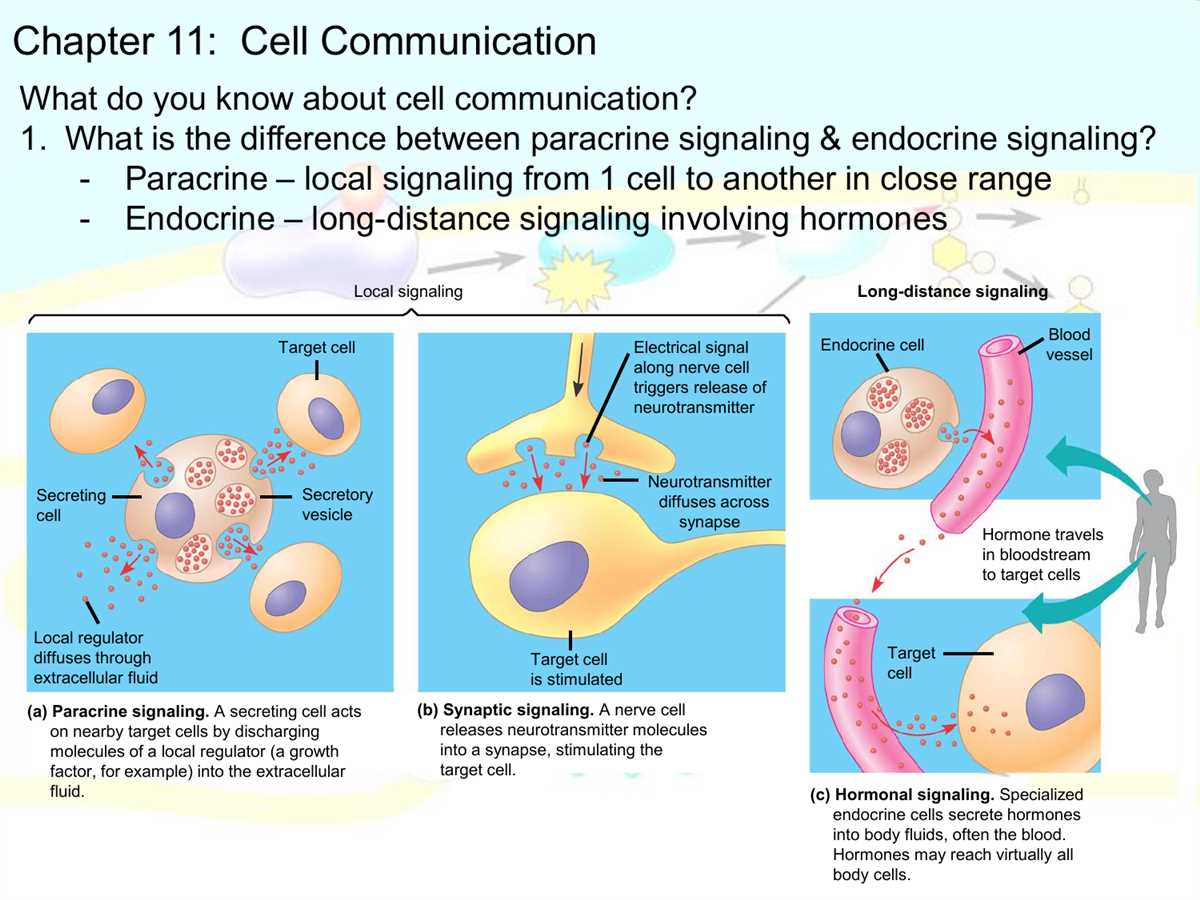 What to Expect on Biology 1406 Exam 3?