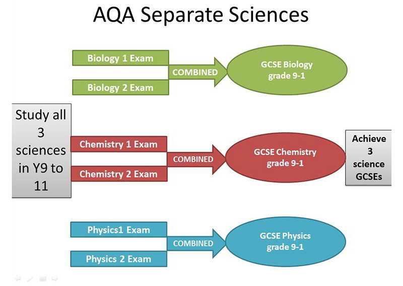 Biology Exam 3 Answers: A Comprehensive Guide