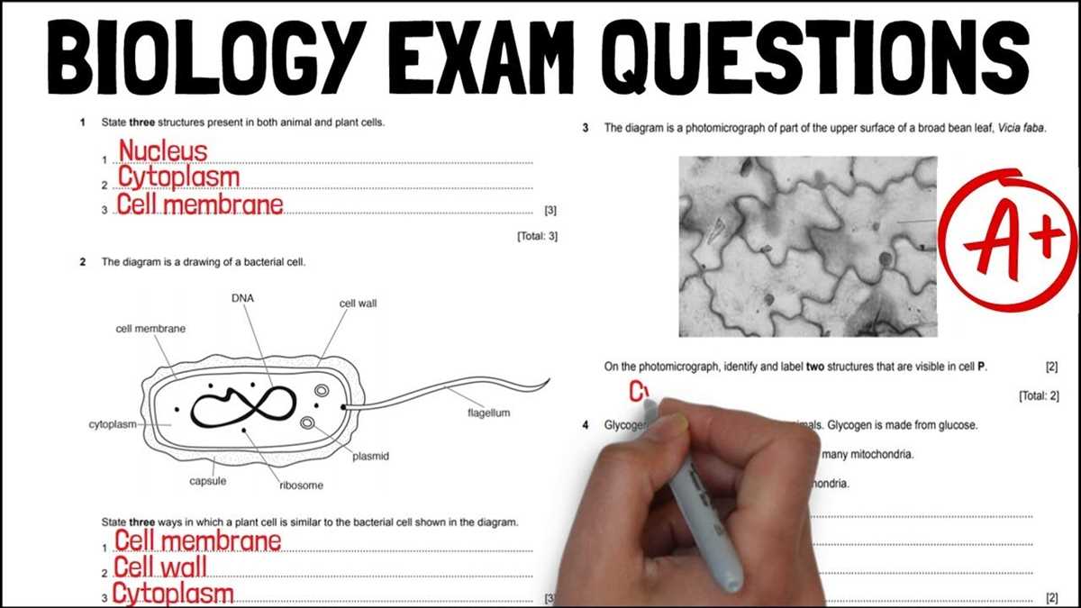 1. Cell Structure and Function