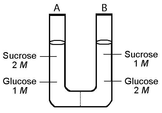 Structure and Function