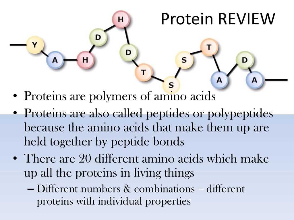 Ribosome Structure and Function