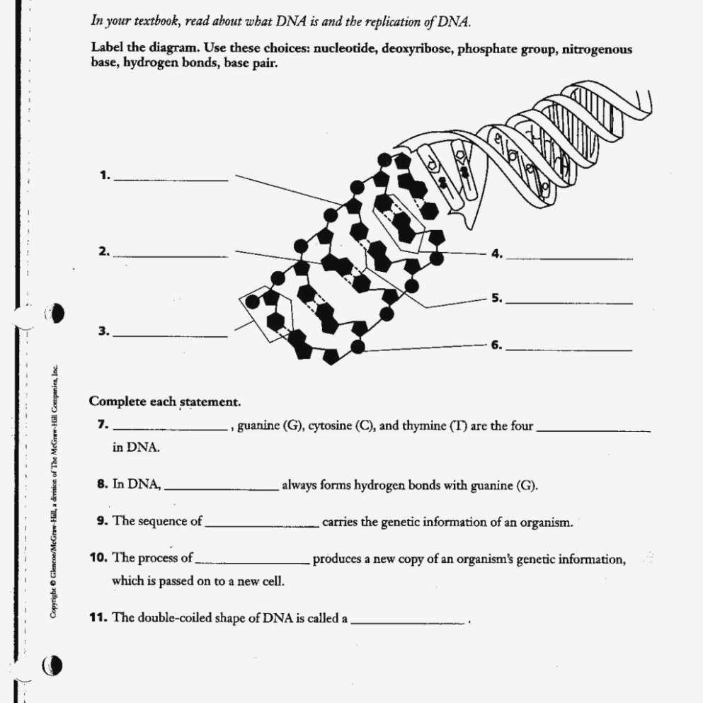 Examining the answers for chapter 11 assessment biology