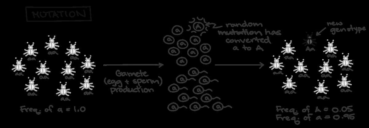 5. How does gene flow impact genetic variation?