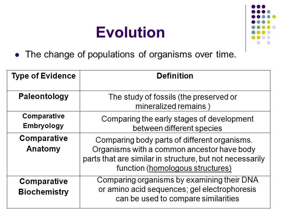 2. What are the sources of genetic variation?