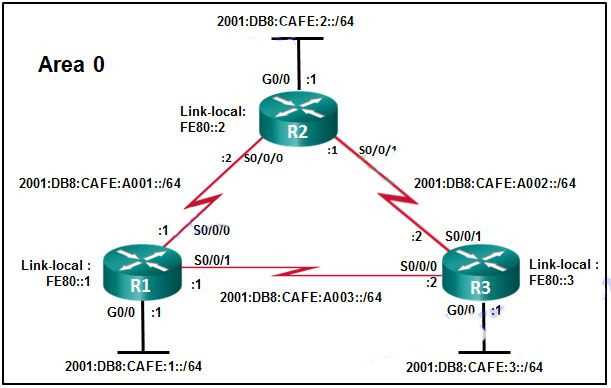 Common Mistakes to Avoid in the CCNA 3 Chapter 8 Exam